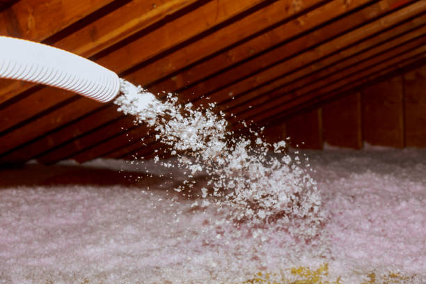 Best Insulation for Specific Applications in Williams, CA